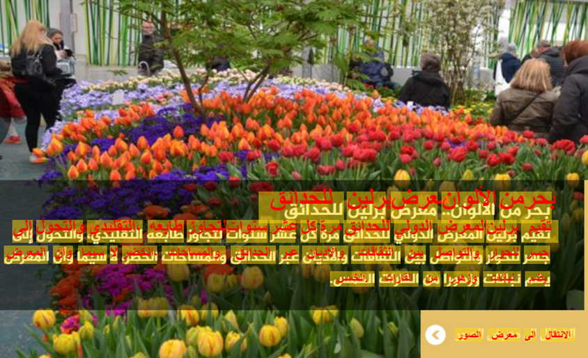 Arabic OCR
